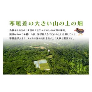 ふるさと納税 スイカ 沖縄県 国頭村 先行受付...の詳細画像5