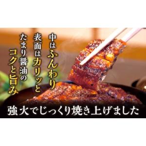 ふるさと納税 うなぎ 愛知県 西尾市 通常発送...の詳細画像2