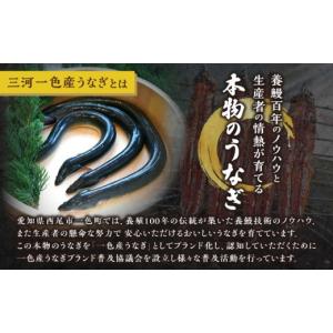 ふるさと納税 うなぎ 愛知県 西尾市 通常発送...の詳細画像3
