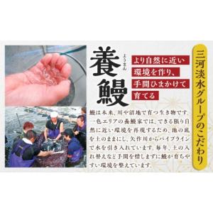 ふるさと納税 うなぎ 愛知県 西尾市 通常発送...の詳細画像4
