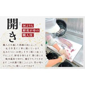 ふるさと納税 うなぎ 愛知県 西尾市 通常発送...の詳細画像5