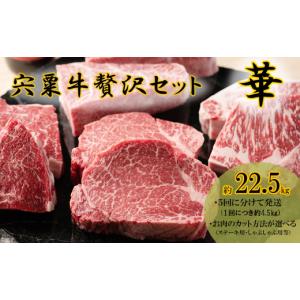 ふるさと納税 牛肉 セット 兵庫県 宍粟市 F...の詳細画像1
