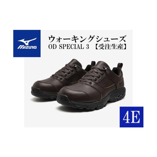 ふるさと納税 ファッション 靴 兵庫県 宍粟市 AO5　ミズノウォーキングシューズ ブラウン4E O...