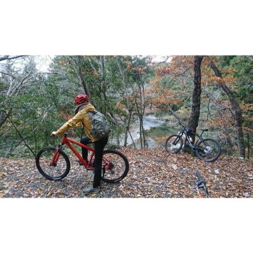 ふるさと納税 体験チケット 埼玉県 飯能市 レンタルサイクル 3名様1日利用サービス券 HNNC00...