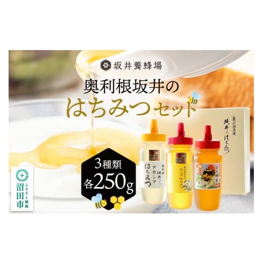 ふるさと納税 加工品等 はちみつ 群馬県 沼田市 奥利根坂井のはちみつセット（アカシア・百花・キハダ...