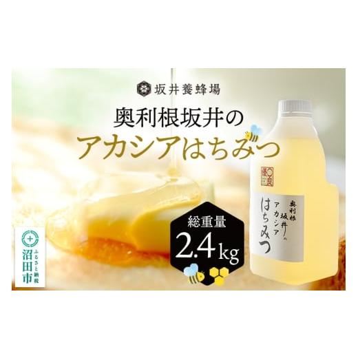 ふるさと納税 加工品等 はちみつ 群馬県 沼田市 奥利根坂井のアカシアはちみつ 2400g×1本 坂...