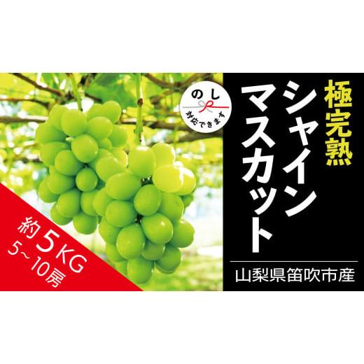 ふるさと納税 山梨県 笛吹市 ＜2024年先行予約＞☆絶品☆ シャインマスカット 5-10房約5.0...