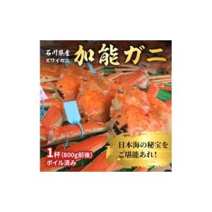 ふるさと納税 石川県 かほく市 【１月より順次発送】加能ガニ（８００ｇ前後）１杯｜ふるさとチョイス