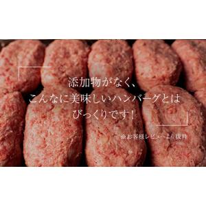 ふるさと納税 肉 ハンバーグ 佐賀県 唐津市 ...の詳細画像3