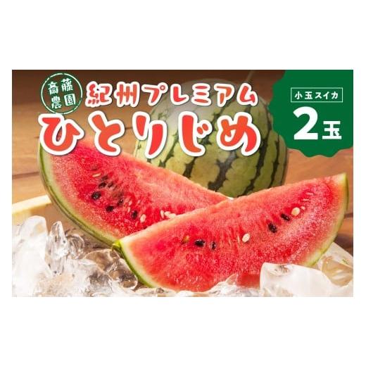 ふるさと納税 スイカ 和歌山県 御坊市 紀州プレミアムひとりじめ ( 小玉スイカ ) 2玉3.5kg...