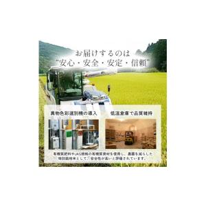 ふるさと納税 米 にこまる 高知県 四万十町 ...の詳細画像3