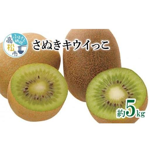 ふるさと納税 香川県 高松市 さぬきキウイっこ　約5kg【2024年10月下旬〜2024年12月下旬...