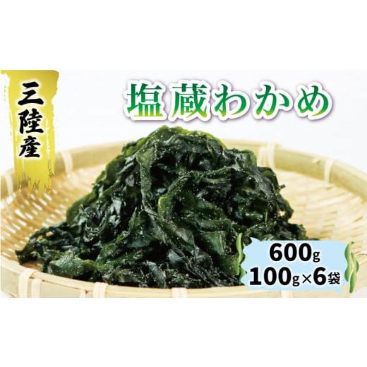 ふるさと納税 岩手県 大船渡市 三陸わかめ 塩蔵わかめ 600g 100g×6袋  わかめ ワカメ ...