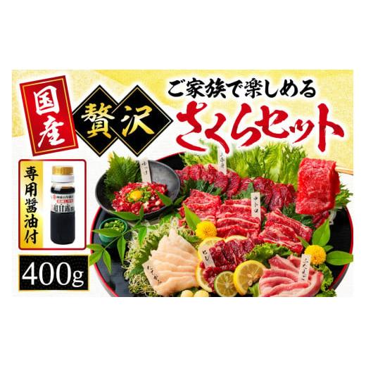 ふるさと納税 熊本県 玉名市 馬刺し ご家族 で楽しめる「さくらセット」 約400g