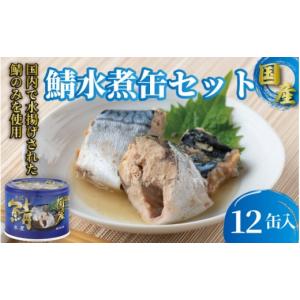 ふるさと納税 千葉県 銚子市 国産鯖水煮12缶セット 国...