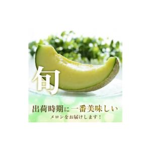 ふるさと納税 メロン メロン青肉 山形県 酒田...の詳細画像2
