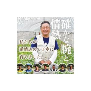 ふるさと納税 メロン メロン青肉 山形県 酒田...の詳細画像3