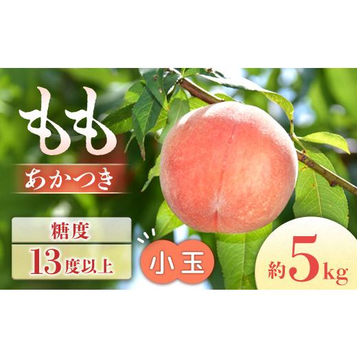 ふるさと納税 もも 長野県 豊丘村  2026年発送先行予約 桃　あかつき　約5kg 小玉 20〜2...