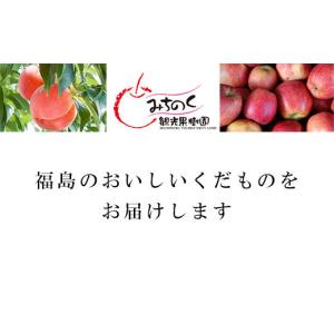ふるさと納税 りんご 福島県 福島市 No.0...の詳細画像2