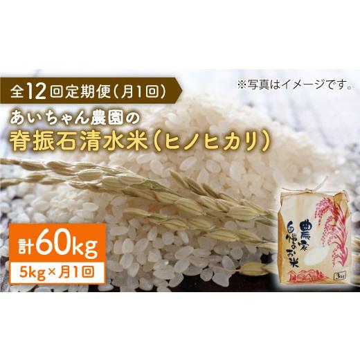 ふるさと納税 佐賀県 吉野ヶ里町 【5kg×12回定期便】脊振石清水米（ヒノヒカリ）5kg 吉野ヶ里...