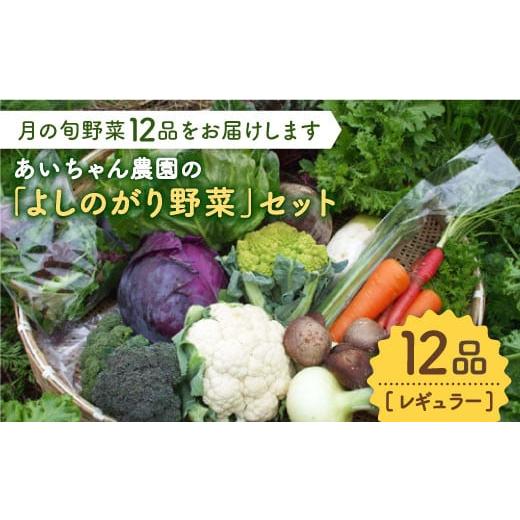 ふるさと納税 佐賀県 吉野ヶ里町 【12品】農薬に頼らない！カラダにやさしい「よしのがり野菜」セット...