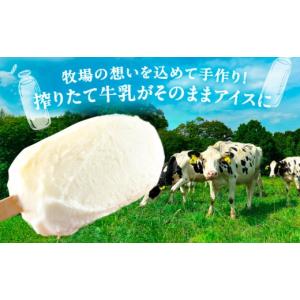 ふるさと納税 菓子 アイス 北海道 足寄町 ＼...の詳細画像2