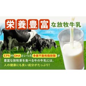 ふるさと納税 菓子 アイス 北海道 足寄町 ＼...の詳細画像5