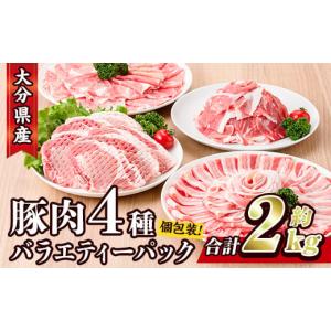 ふるさと納税 大分県 佐伯市 大分県産 豚肉 バラエティーパック (合計2kg・4種) 【BD104...