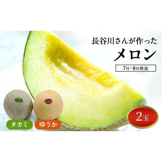 ふるさと納税 メロン メロン青肉 青森県 鰺ヶ沢町  先行予約2026年産 長谷川さんが作ったメロン...