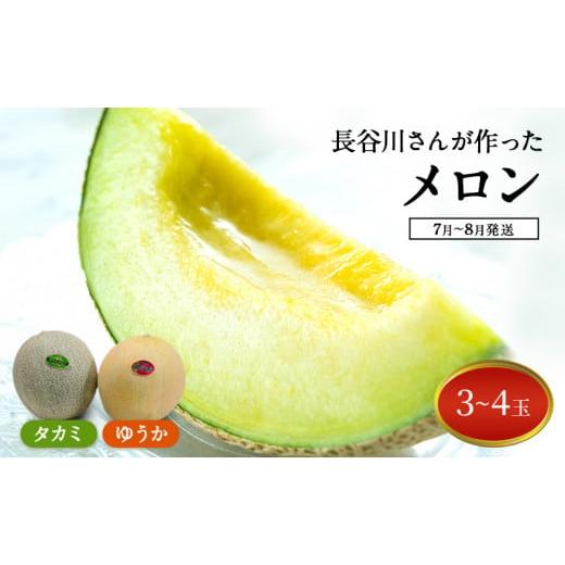 ふるさと納税 メロン メロン青肉 青森県 鰺ヶ沢町  先行予約2026年産 長谷川さんが作ったメロン...