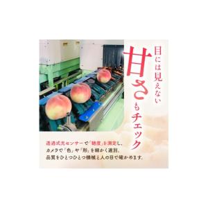 ふるさと納税 もも 福島県 伊達市 糖度12度...の詳細画像2