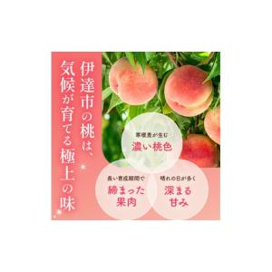 ふるさと納税 もも 福島県 伊達市 糖度12度...の詳細画像4