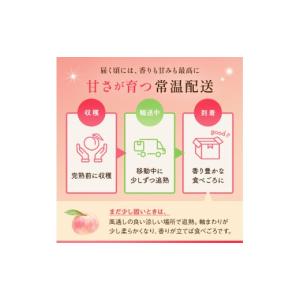 ふるさと納税 もも 福島県 伊達市 糖度12度...の詳細画像5