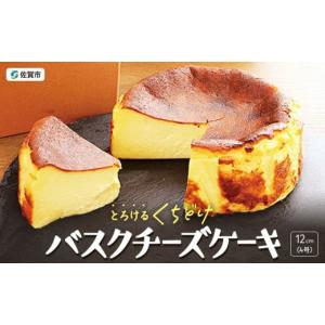 ふるさと納税 ケーキ・カステラ チーズケーキ 佐賀県 佐賀市 バスクチーズケーキ：A080-001｜ふるさとチョイス