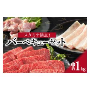 ふるさと納税 佐賀県 伊万里市 スタミナ満点！バーベキューセット 約1kg モモ 牛肉 豚肉 鶏肉 J339｜ふるさとチョイス