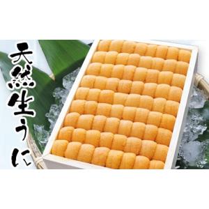 ふるさと納税 ウニ 北海道 根室市 B-71012 エゾバフンウニ並べ詰め150g×1折 2026年3月上旬以降発送｜ふるさとチョイス