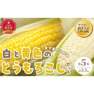 ふるさと納税 とうもろこし 北海道 旭川市 先...の詳細画像1