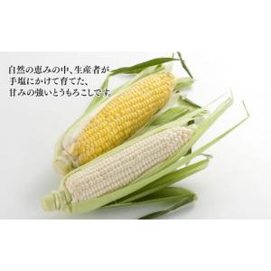 ふるさと納税 とうもろこし 北海道 旭川市 先...の詳細画像2