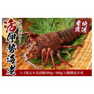 ふるさと納税 和歌山県 白浜町 活 伊勢海老 1尾 〜
