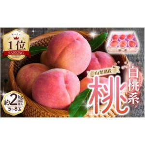 ふるさと納税 もも 山梨県 丹波山村 先行予約 朝もぎ直送 「 桃 白桃 系 」 5〜8玉 約2kg規格箱入り 高機能共選機使用 先行予約 選び抜かれた 桃 山梨県産 モ…