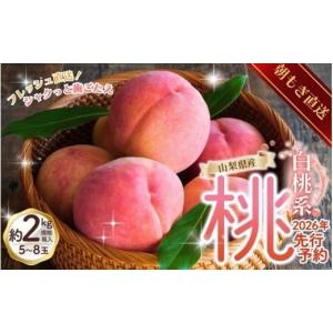 ふるさと納税 もも 山梨県 丹波山村 先行予約...の詳細画像1
