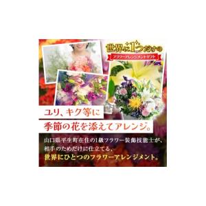 ふるさと納税 雑貨・日用品 花 山口県 平生町...の詳細画像2