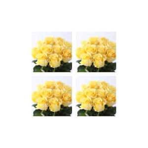 ふるさと納税 花・苗木 花束 滋賀県 守山市 総本数100本 國枝バラ園から直送 Flower Bouquet（25本の花束×４ケース）黄 AN-0009-5 ?