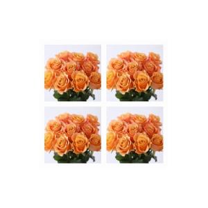 ふるさと納税 花・苗木 花束 滋賀県 守山市 総本数100本 國枝バラ園から直送 Flower Bouquet（25本の花束×４ケース）オレンジ AN-0009-6 オレンジ
