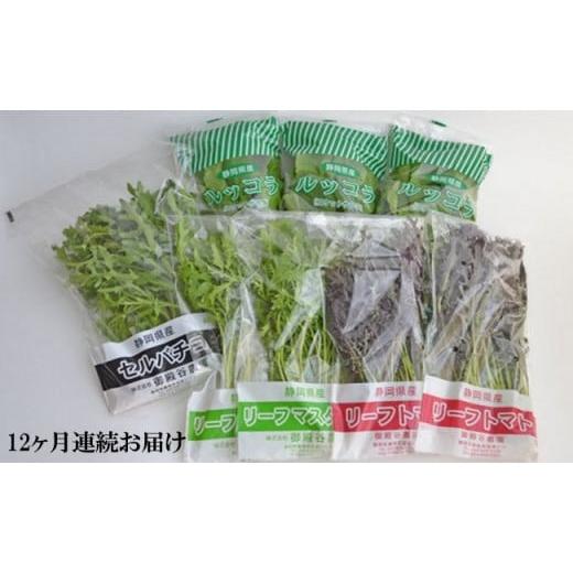 ふるさと納税 静岡県 藤枝市 定期便 12回 国産 ハーブ 野菜 詰め合わせ 約 450g 4種 8...