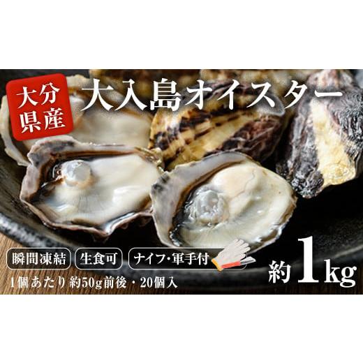 ふるさと納税 大分県 佐伯市 大入島 バージン オイスター 牡蠣 約1kg (1個約50g前後・20...