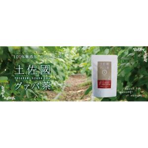 ふるさと納税 高知県 南国市 国産有機栽培グァバ葉100％使用 土佐國グァバ茶2g×30包入り 3個セット