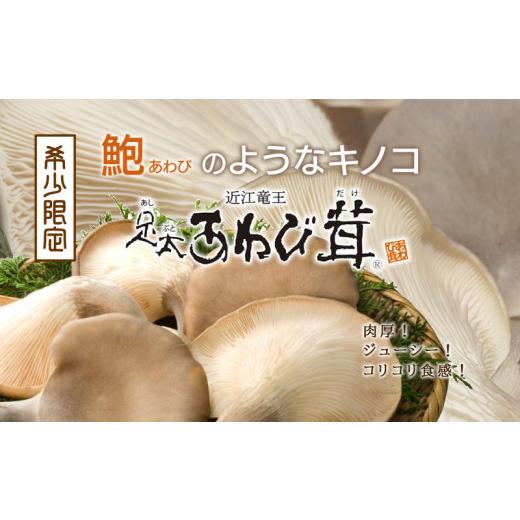 ふるさと納税 滋賀県 竜王町  特選 あわび茸 生 1kg 希少 足太あわび茸 きのこ キノコ 国産...