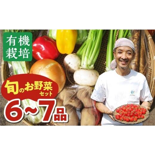 ふるさと納税 人参・大根・他根菜 岐阜県 飛騨市 《令和8年産 先行予約受付中》野菜の栄養価コンテス...