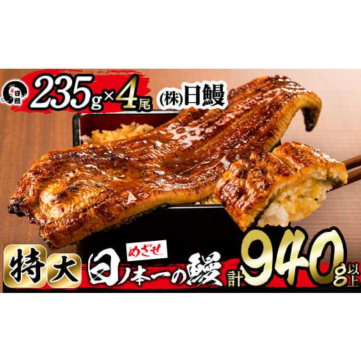 ふるさと納税 鹿児島県 志布志市 日ノ本一の鰻の蒲焼き＜特大＞4尾セット(計940g以上) d0-0...